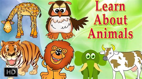 15 de out. . Benefits of learning animal sounds for toddlers